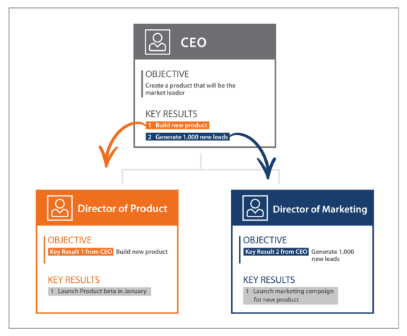 OKR example showing alignment between different roles