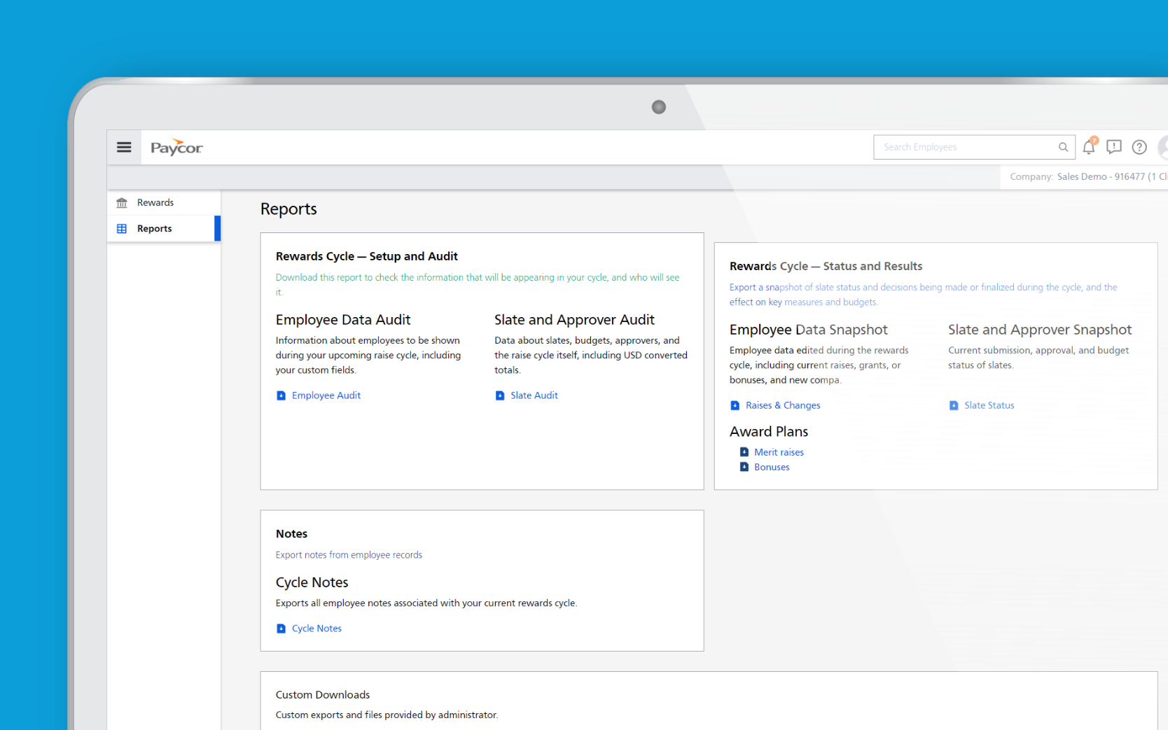 Paycor compensation management interface example of auditing feature